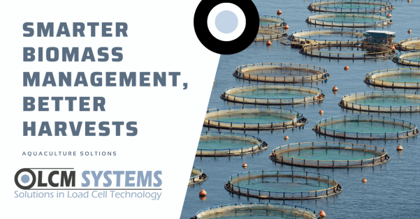 Aquaculture Feed